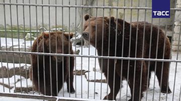 #�������_����_��. �������� � ������������ �������� � ��������� ������������ ��������� ������