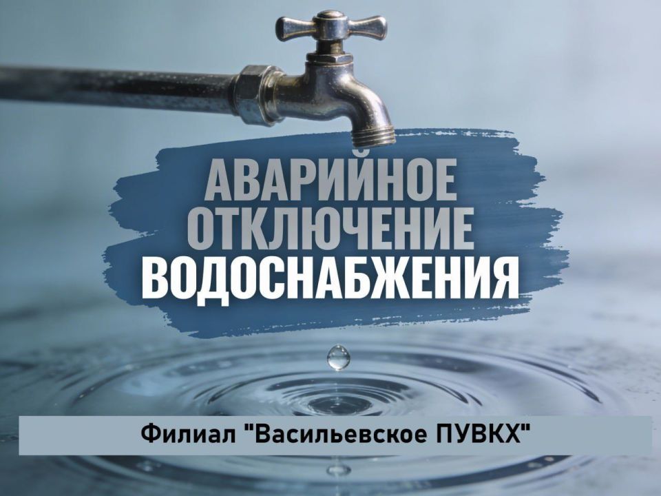 Уважаемые жители Васильевского муниципального округа!