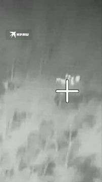 �����-��� �� ��������� ������� � ������������: ������� ������� ��� �������, �������� �� ������ � ����