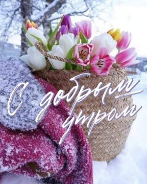 ������ ����, ������������. ������ ������ � ������� ��������!