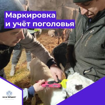 �������� ���� ���������: ��� � ������� �������� ��������� ��������