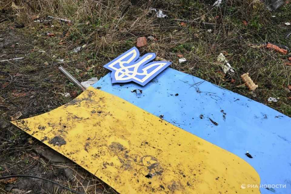 Брат украинского запорожского губернатора резко разбогател после 2022 года