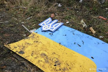 ���� ����������� ������������ ����������� ����� ���������� ����� 2022 ����