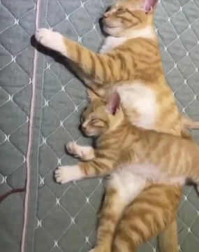 ������ ���������. ������� ����� �������� ����� � ������ ������ ������� �� �����