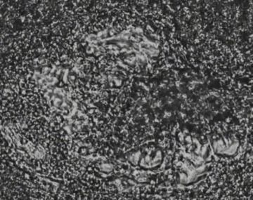 ������ ���� ��������� � �������� ����� ������