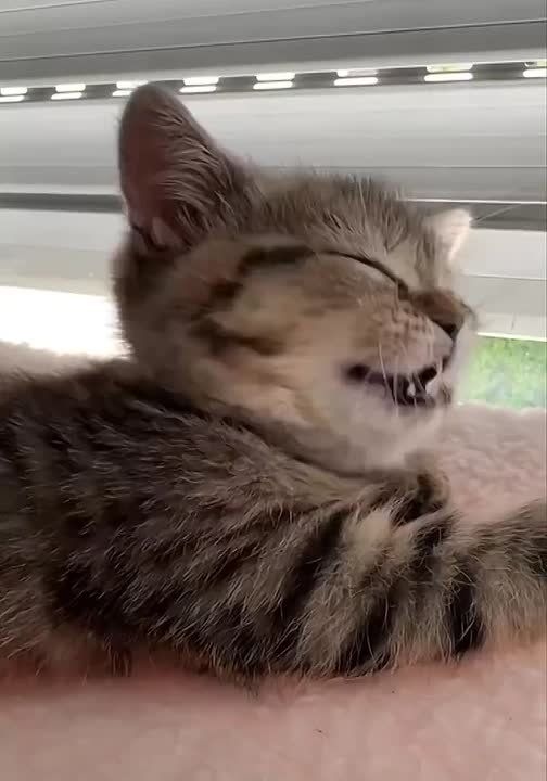 � ��� � �������. �����������, ��������� � ������ �� ������