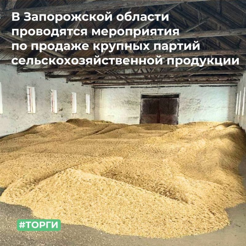 �� ������������ � ����������� ������� � ������������ ������������������ ����������� �������� ����������� �� ������� �������������������� ��������� ������ 2025 ����, ������������� �������� - ��� ���������������� ��������...