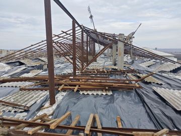 ���� �� ����� ����������� ����� ����� ����� � ����������� ������ ����������� �������