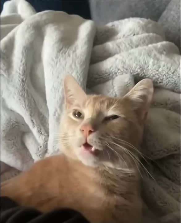 ��� � �����. ����� ����������� ��� � ������ �����