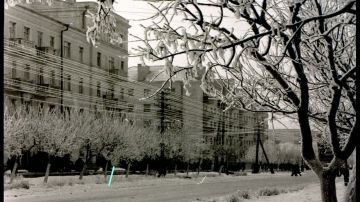 ������: ����� ������. ������ � �����������