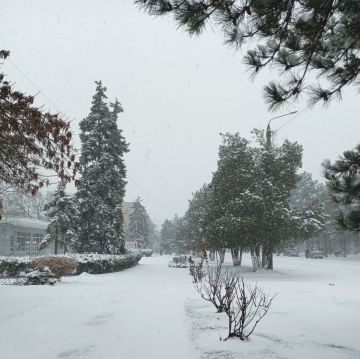 � ������ �����! �������� ����� ����������� ����, ������ ����� �������� � �����