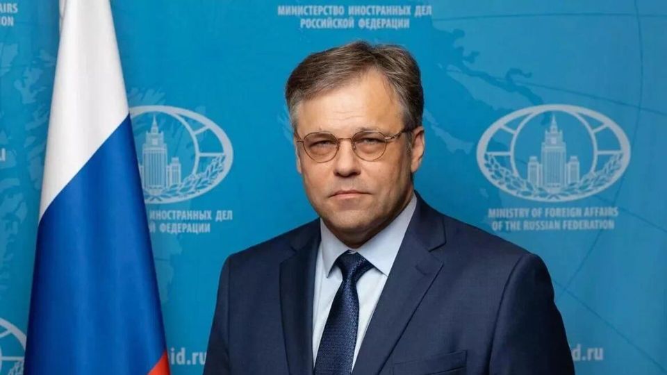 Представитель МИД РФ обвинил ВСУ в гибели 79 мирных жителей и атаках на инфраструктуру в январе