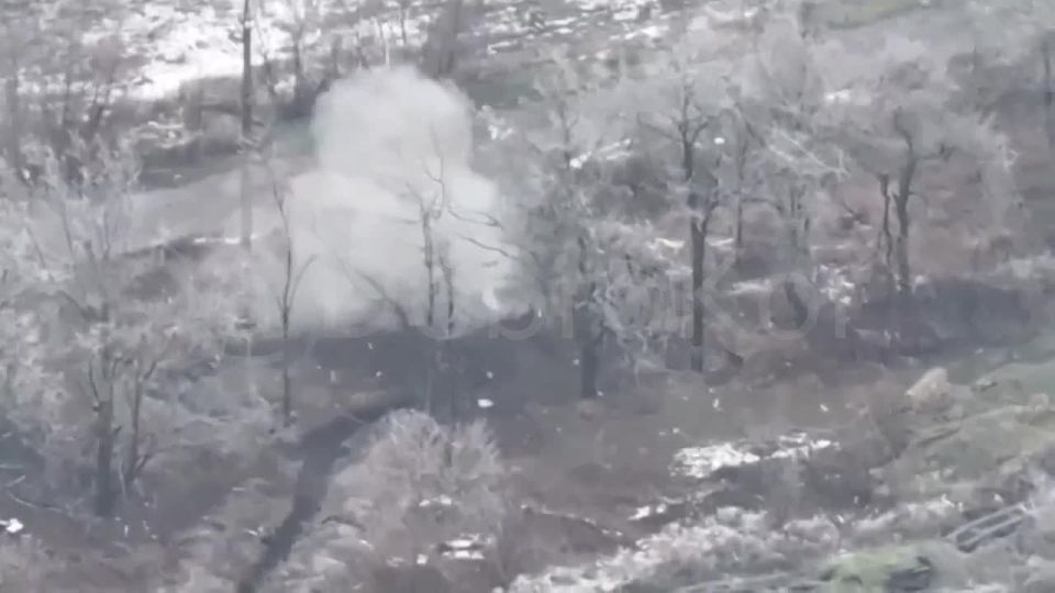 ����������� �����������. ����� ���������������� ������� �������� �� ��� ��������� ���������