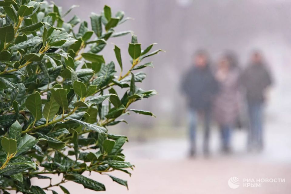 Погода на новых территориях России