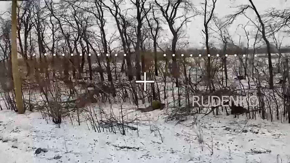 ������ �������: �� ���������� ����������� � ����������� ������� � ������ �.�. ���������� ������� ������� ���� �������������� ����������� �� ������� ����������� ����� ������ �������� ������ � ������� ����������