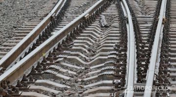 ��������������� ��������� ������ ������ ������������ �������