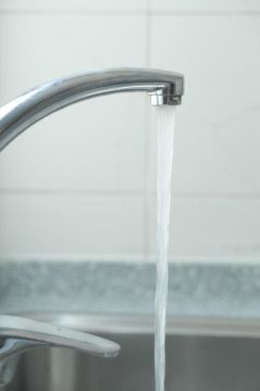 ����� ���������: ������������ ������ �� ��. �������� ���������