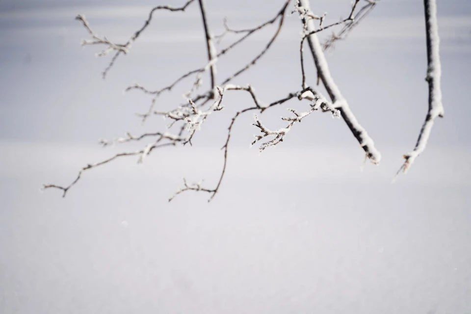 В Запорожской области ожидается усиление морозов и гололедица 9 февраля