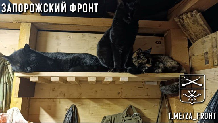 ���� ������� ���� � ������������ �����������