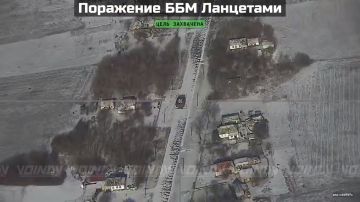 ���������� ������ ������������ �� ����� ���������������� � ����������� ��������