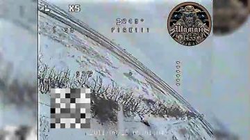 ����������� �����������. ��������� ������� ����� ������������� "�����" 1455 ����� ���������� ������� ����� � ����� ��.������������