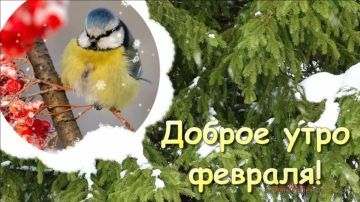 ������ ����, ������������. ����� ����� ���� ������ ���!