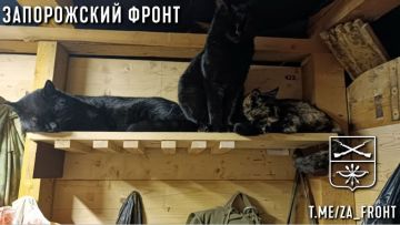 ���� ������� ���� � ������������ �����������