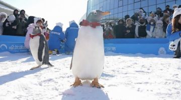 ������� ����� ��������� ������ � �����