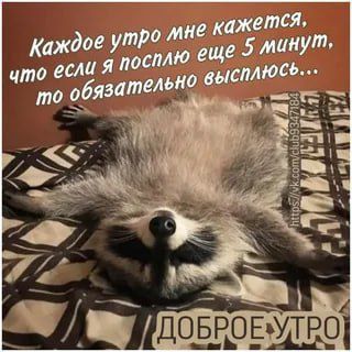 ������ ����, ������! �������� ��� ��� � ��������� ����������!