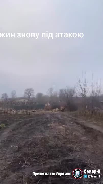 ����� ����-��������� �������� �� ������������ ��� � ����� �� ������� �������