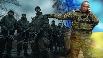 ������� ����� � ������ � ������� �� ������. ���� �� ������