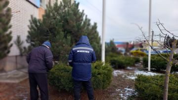 � ���������� ������� ������ �� ����� �� ������� ������������