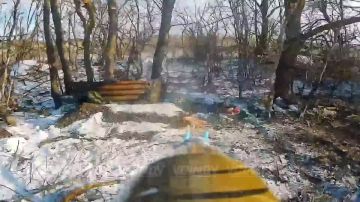 ������ ���������� ���� 38 ����������� �������������� ������� 35 ����� ����������� ����� "������" �� ����������� ������ ���������� � ����������� ���������