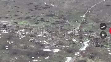 ����������� �����������. ��������� ������� ����� �������������