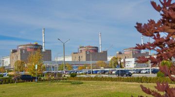 � ���������� ��������� ��������� � ����� � �� �����������