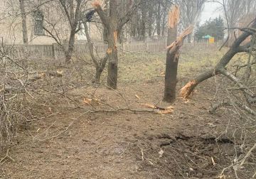 �������� ������ ����� �� ������� ��� ��������, �� ������� ������