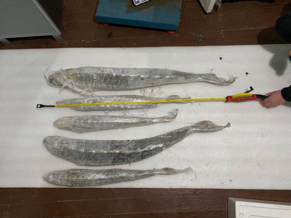 ������� ��������� ����������� ��������� � ���������� ������ ������ ����� ���� ��������� ���������