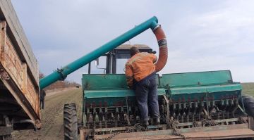 ����������� ��������� �������� ���������� � �������� �������� �� 25% � ���� ����