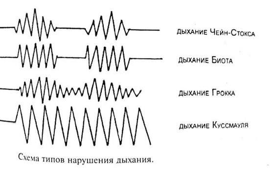 Еженедельная авторская колонка;