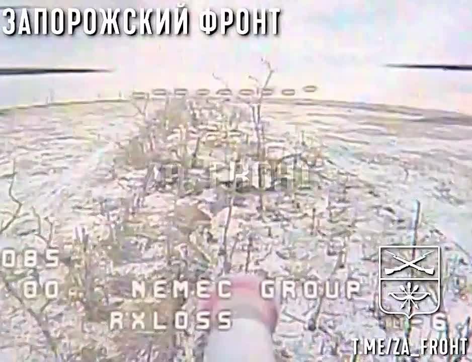 �������� ������� �� ������ �����, 291 ����, ���������� ��������� �������� ��������� �� ���������� �����������