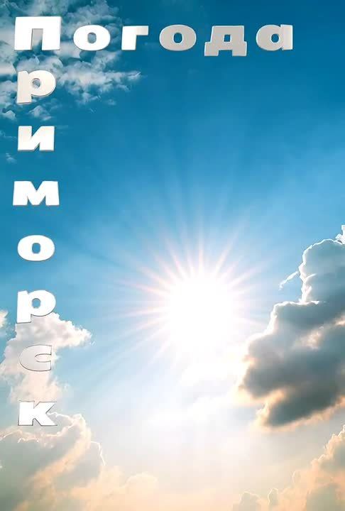 ������ �������� (���������� �����), 12.02.2026
