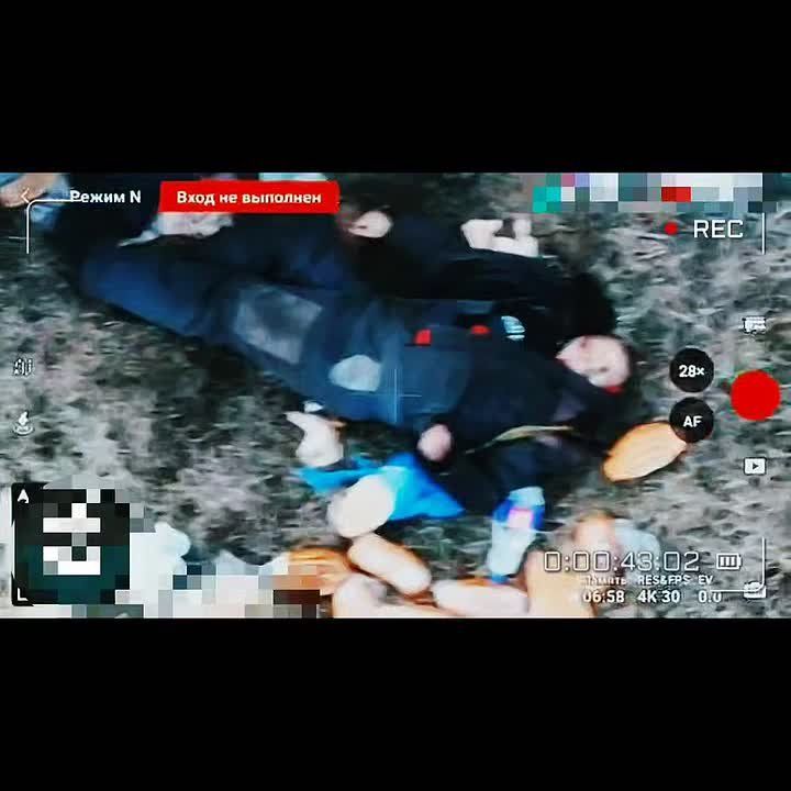 ��� ������: #������ �� ���� 12 ������� 2026 ����