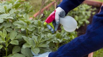 � ����������� ������� ������� 22 ���������������, �������������� ������� ����������������