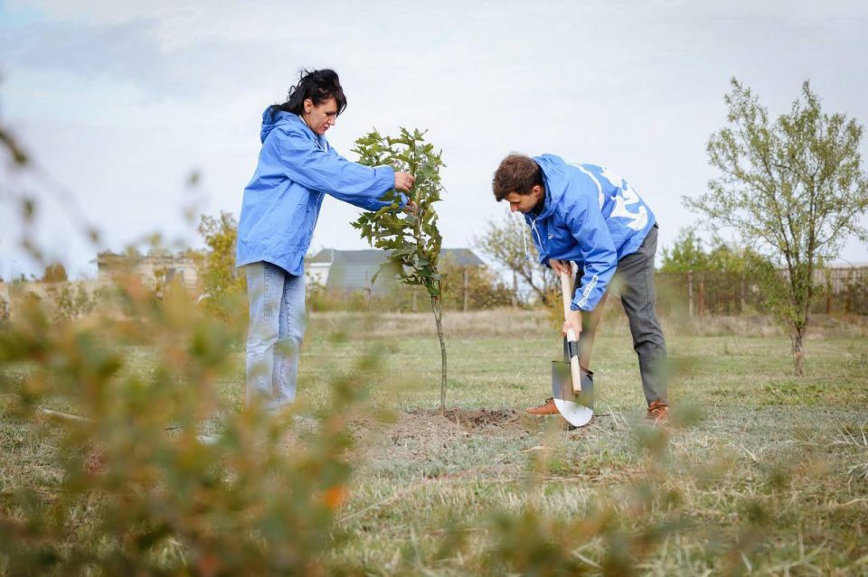 ������� ��������: � 2026 ���� �� ���������� ����������� ������� ����� ����������� ���������� ����������� �� �������������� � ������������������