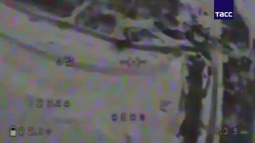 ��������� ���� "�������" ������� ���������� ��� � ����������� �������