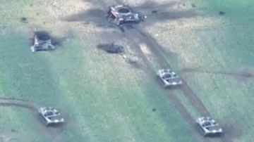 ������ ����� �� ���: ���������� ��� � ��������� ������������ � ������ ������, ��������� �������