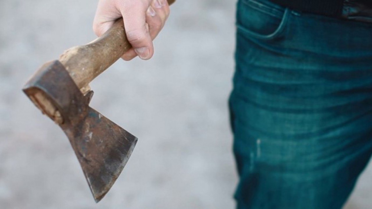 На 2 года отправится в колонию житель Бердянского района за нанесение ударов топором по голове соседу