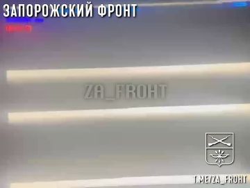 �������� ����� �� ������ �����, 291 ����, ��������� ������������ �������� ��������� � �������� �� ����������� �����������