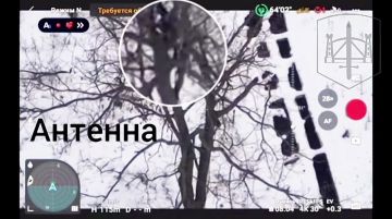 ����������� �����������. ������ 291 �������������� ������� 58 ����� �� ����������� ������ ���������� ���� ���������� ������������ ����������� ����������� "���������� - 2�"