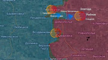 ����������� �����������. ������� ��������� � ��������